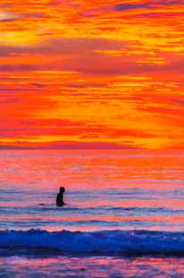 Sunset Surfer-9383.jpg